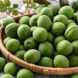 Deliver From 4 July. Korean Green Plums 매실 (Maesil / Ume) - 5kg/10kg