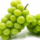 Premium Korean Shine Muscat 샤인머스켓 - approx. 700 g