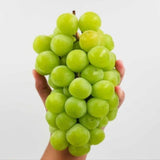 Shine muscat