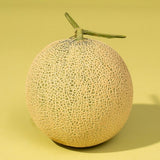 Master Cho's Musk Melon 한국 장인의 멜론 - approx. 2kg