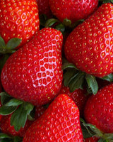 Premium Jukhyang Strawberries 죽향딸기  - 500g / 15pcs /1 Layer