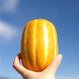 Korea Oriental Melon 참외 - 1kg