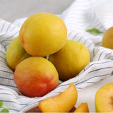 Korean Plumcot - approx. 500g