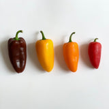 Deliver 31 Oct. (Pre-Order) Pesticide-Free Mini Paprika 무농약 미니 파프리카 - 500g
