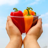 Deliver 31 Oct. (Pre-Order) Pesticide-Free Mini Paprika 무농약 미니 파프리카 - 500g
