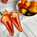 Deliver 31 Oct. (Pre-Order) Pesticide-Free Mini Paprika 무농약 미니 파프리카 - 500g