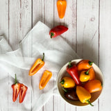 Deliver 31 Oct. (Pre-Order) Pesticide-Free Mini Paprika 무농약 미니 파프리카 - 500g