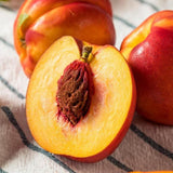 Korean Nectarines 천도복숭아 (Cheon-do-bok-sung-a) - approx.1kg