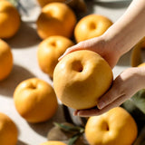 Deliver 7 Nov. (Pre-Order) Korean Premium Singo Pear 배 1.5kg 2~3pc