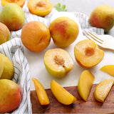 Korean Plumcot - approx. 500g