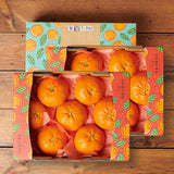 Premium Red Hyang Mandarins 레드향 선물세트 - 2kg