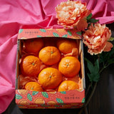 Premium Red Hyang Mandarins 레드향 선물세트 - 2kg