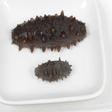 Deliver 31 Oct. (Pre-Order) Pei Mama Premium Dried Korean Wild Sea Cucumber 최고급 건해삼 - 80g