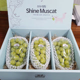 Premium Sangju Shine Muscat 샤인머스켓 선물세트  Gift Set (3pc)