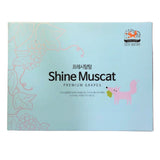 Premium Sangju Shine Muscat 샤인머스켓 선물세트  Gift Set (3pc)