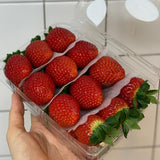 Premium Jukhyang Strawberries 죽향딸기  500g/2 layers/24pc