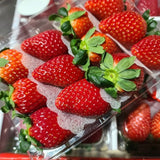Premium Jukhyang Strawberries 죽향딸기  500g/2 layers/24pc