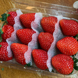 Premium Jukhyang Strawberries 죽향딸기  500g/2 layers/24pc