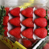 Premium Jukhyang Strawberries 죽향딸기  500g/2 layers/24pc
