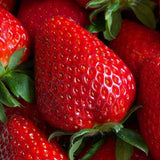 Premium Jukhyang Strawberries 죽향딸기  - 500g / 15pcs /1 Layer