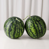 Super Premium Watermelon 수박 - approx. 7kg