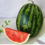 Super Premium Watermelon 수박 - approx. 7kg