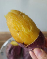 Deliver 31 Oct. Exclusive Honey Sweet Potatoes(Goguma) 지은농장 꿀고구마 - approx. 1kg