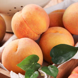 Premium Korean Yellow Peach 황도복숭아 - approx. 1.5kg 4~5pc/box