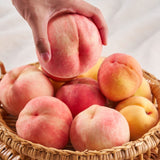 Deliver 14 Aug. Premium Korean White Peach 백도 복숭아 1.2kg 4pcs