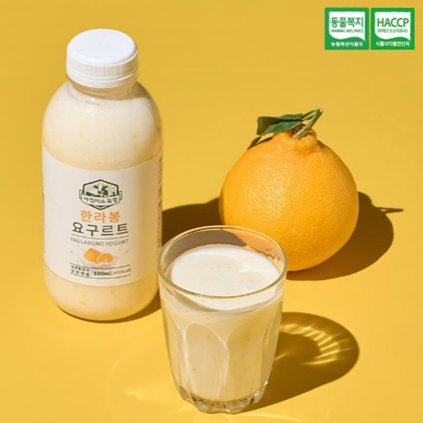 WHOLESALE - (Pre-Order) Morning Smile Farm Yogurt Hallabong Flavor 제주 한라봉요거트 500ml x 5 bottles
