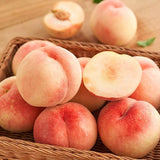 Deliver 14 Aug. Premium Korean White Peach 백도 복숭아 1.2kg 4pcs