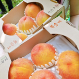 WHOLESALE - (Pre-Order) Premium Korean Yellow Peach 황도복숭아 - 10pc~14pc 3.6kg
