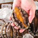 WHOLESALE - Deliver 22 Sep. (Pre-Order) Korean Abalone 전복 3kg (32~36pc)