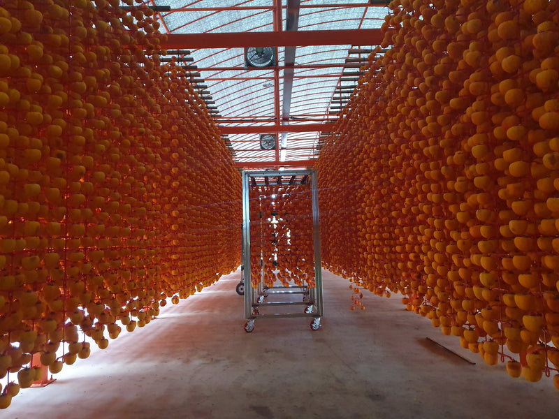 WHOLESALE - Deliver 22 Sep. (Pre-Order) Korean Sangju Dried Persimmon 곶감 - BULK 1kg (22~26pc)