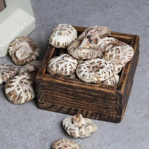 Deliver 26 Sep. Jeongnamjin NH Baek-Hwa-Go Premium White Shiitake Mushrooms 백화고 버섯 300g