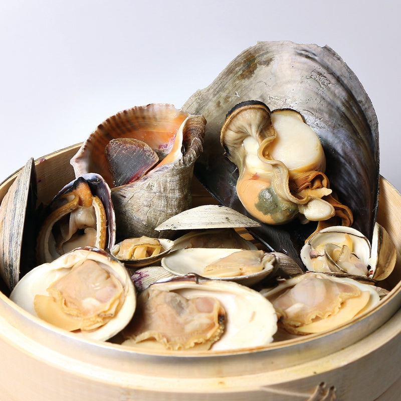 WHOLESALE - Deliver 22 Sep. (Pre-Order) Ki-jo-gae (Pen Shell Clams) Tairagai 기조개 1pc