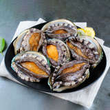 Deliver 26 Sep. (Pre-Order) Korean Fresh Abalone 전복 1kg