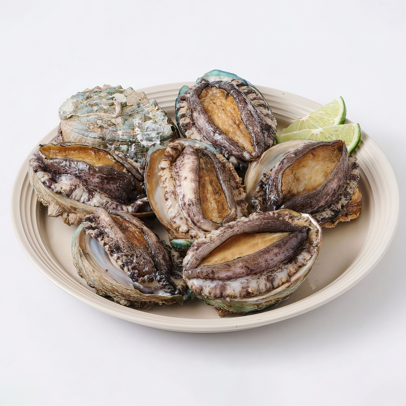 Deliver 26 Sep. (Pre-Order) Korean Fresh Abalone 전복 1kg