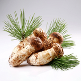 Deliver 26 Sep. Korean Matsutake (Songi Beoseot) 송이버섯 mushroom - 1 Kg