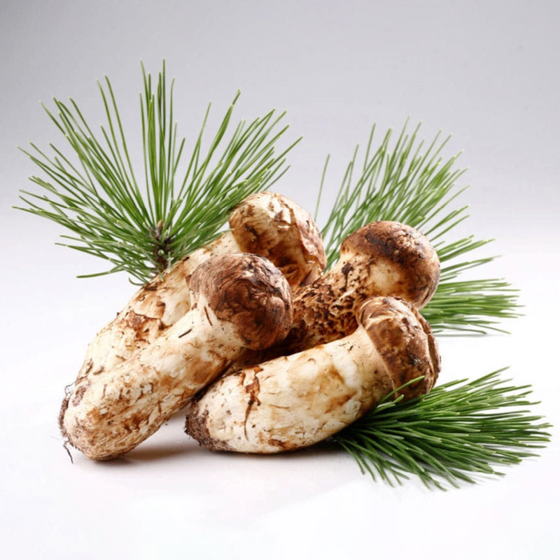 Deliver 26 Sep. Korean Matsutake (Songi Beoseot) 송이버섯 mushroom - 1 Kg