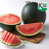 Black Winner Watermelon 블랙위너 수박 Approx. 7kg