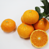 EXCLUSIVE Premium Jeju Tangerine Dalcomi Gift Set 달콤이 2kg