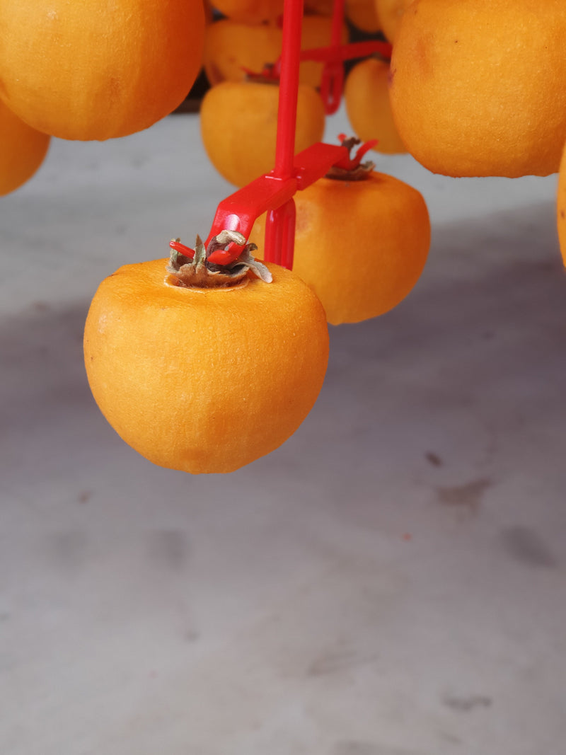 WHOLESALE - Deliver 22 Sep. (Pre-Order) Korean Sangju Dried Persimmon 곶감 - BULK 1kg (22~26pc)
