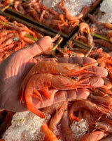 WHOLESALE - Deliver 22 Sep. (Pre-Order) Premium Korean Amaebi(Sweet Shrimp) 단새우 2kg