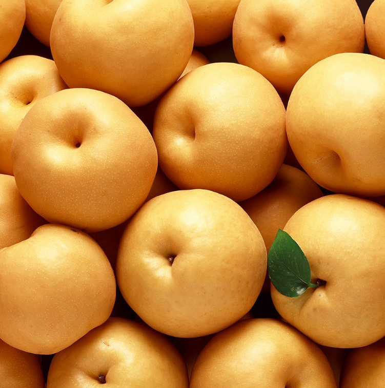 Deliver 19 Sep. Korean Premium Singo Pear 신고배 선물세트 Gift Set 5~7PC 5KG
