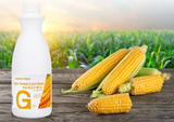 Super Sweet Corn Base 그린트리 초당 옥수수 베이스 1kg