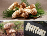 Deliver 26 Sep. Korean Matsutake (Songi Beoseot) 송이버섯 mushroom - 1 Kg