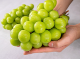Deliver 5 Dec. CheonAn Shine Muscat 천안 샤인머스켓 Approx. 600~700g