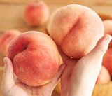 Deliver 14 Aug. Premium Korean White Peach 백도 복숭아 1.2kg 4pcs