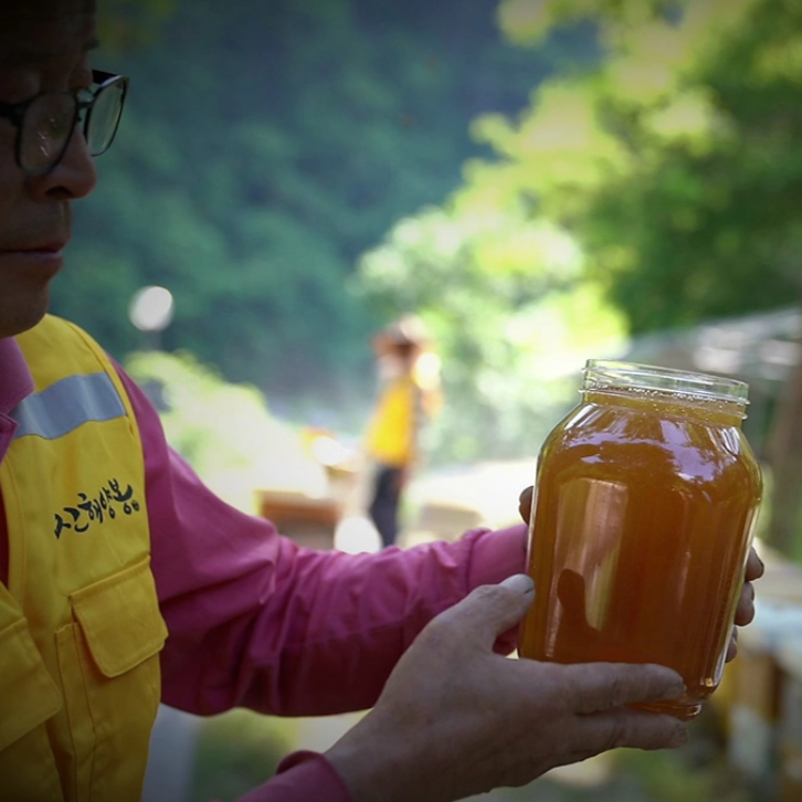 Premium Korean Beekeeping Acacia Honey 아카시아꿀 1kg/1.2kg